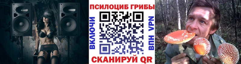 Псилоцибиновые грибы MAGIC MUSHROOMS  продажа наркотиков  Канаш 